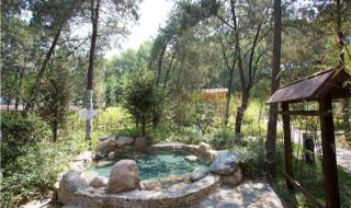 石家庄美食团购网 石家庄美食团购网